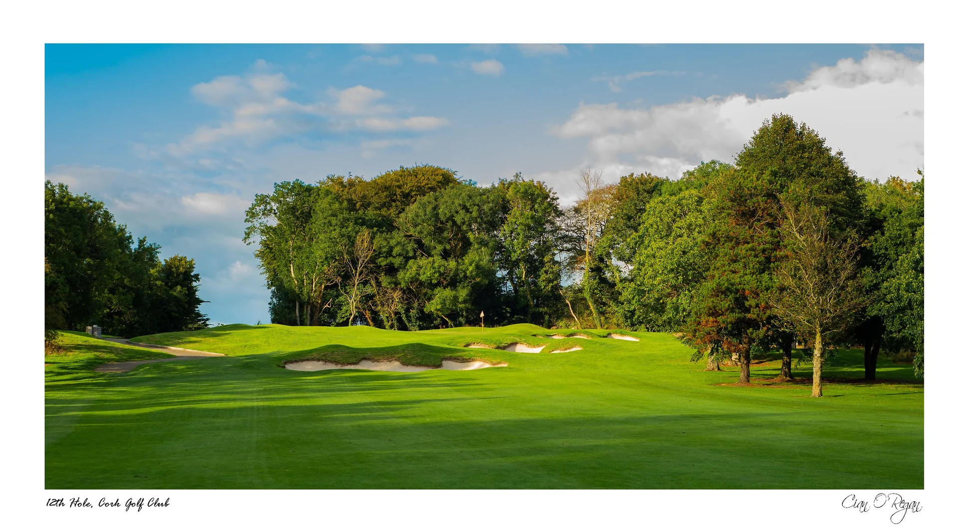 Cork Golf Club — Photo by Cian O'Regan Photography